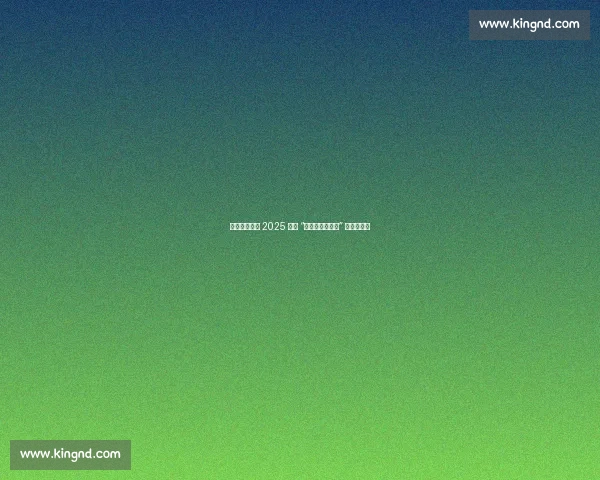 绿茵聚石榴籽 2025 银川 “民族团结进步杯” 足球赛开赛