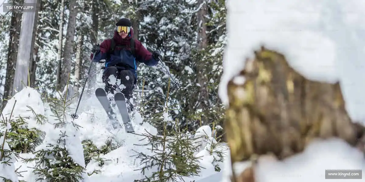 我们的品牌价值